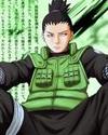 Shikamaru 1024x768 6 af8 12